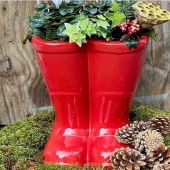Santa’s boots 🎅🏼 🥾 🌟🎄❤️🎁
3 weeks to go!! 

#friday #december #christmas #holidays #festivities #ireland #supportlocal #gardening #gardens #garden #gardeninspiration #containerplanting #giftideas #gift #flowers #natures #exteriordesign #exterior #landscape #pottery #ceramics