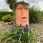 Welcome back and best of luck to all of our wonderful customers who can finally have people back in store 🙌🏼 we look forward to supporting you for another season 😉📸 by @dars_kinsale_garden #supportlocal #retail #backtobusiness #garden #gardening #gardendesign #pots #pottery #gardenornaments #lemonfield #ireland #summer #spring #irishgarden #exteriordesign #landscapes #horticulture