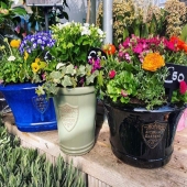 We can’t believe it’s Easter already 😅 
Our botanical garden range is one of our most popular styles. Seen here planted up by @kiernans.gardencentre #lemonfield #pottery #gardencentre #supportlocal #ireland #pots #gardening #ceramics #ceramicplanter #landscapes #design #exteriordesign #gardendesign