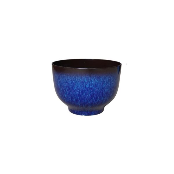 SL1913-BL OUTER OF 6