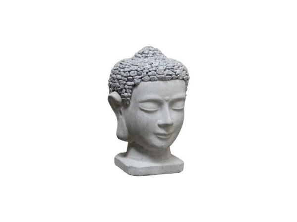 8669975-GR BUY 2 -30% DISCOUNT